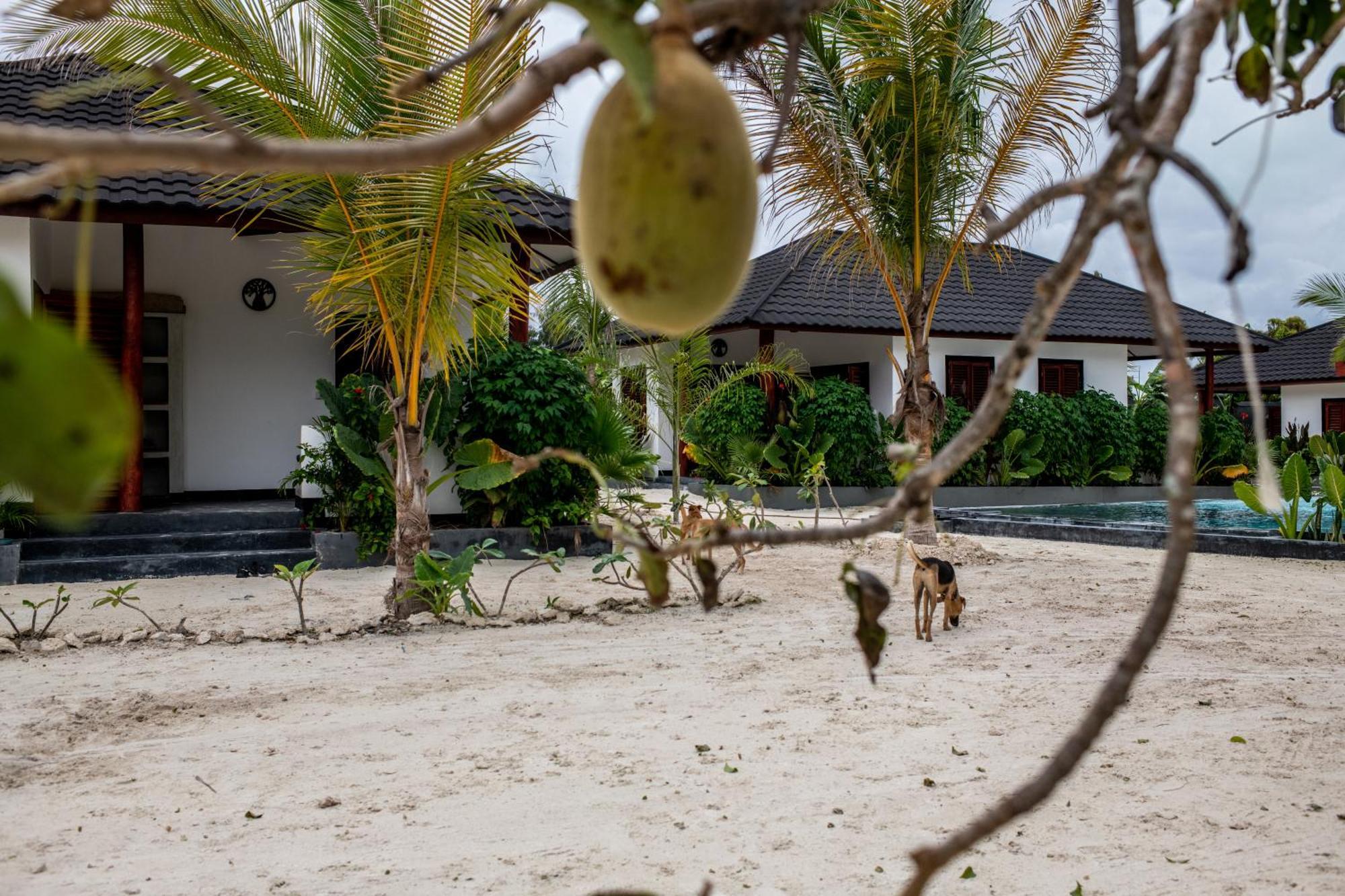 Baobab Bungalows Джамбіані Екстер'єр фото
